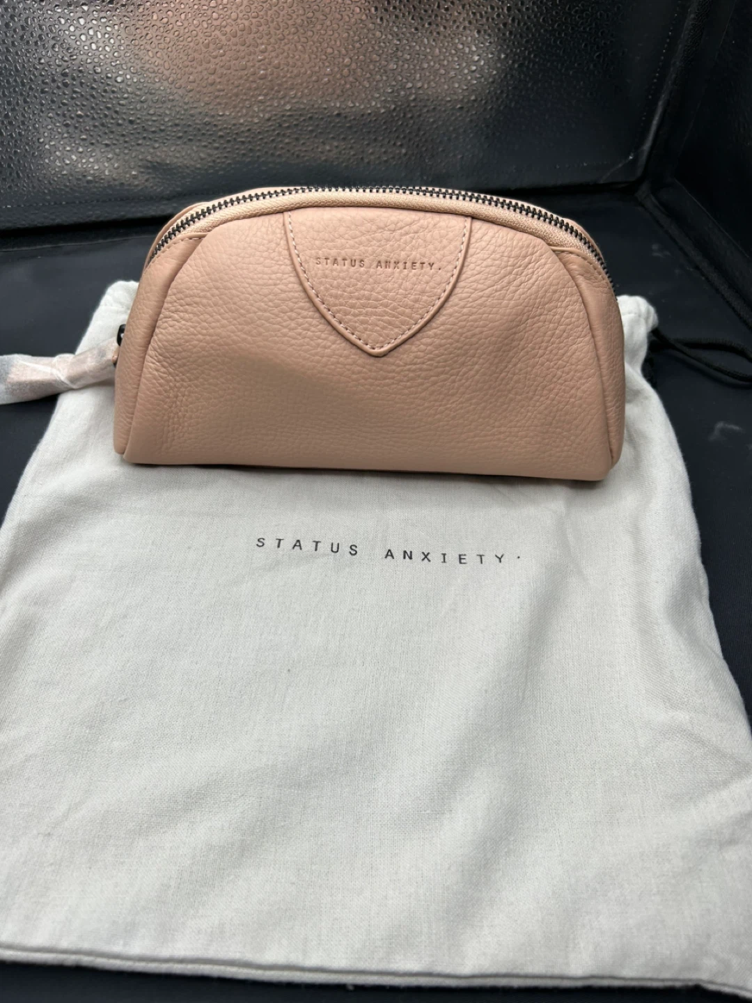 Status Anxiety Makeup Bag - Pale Rose
