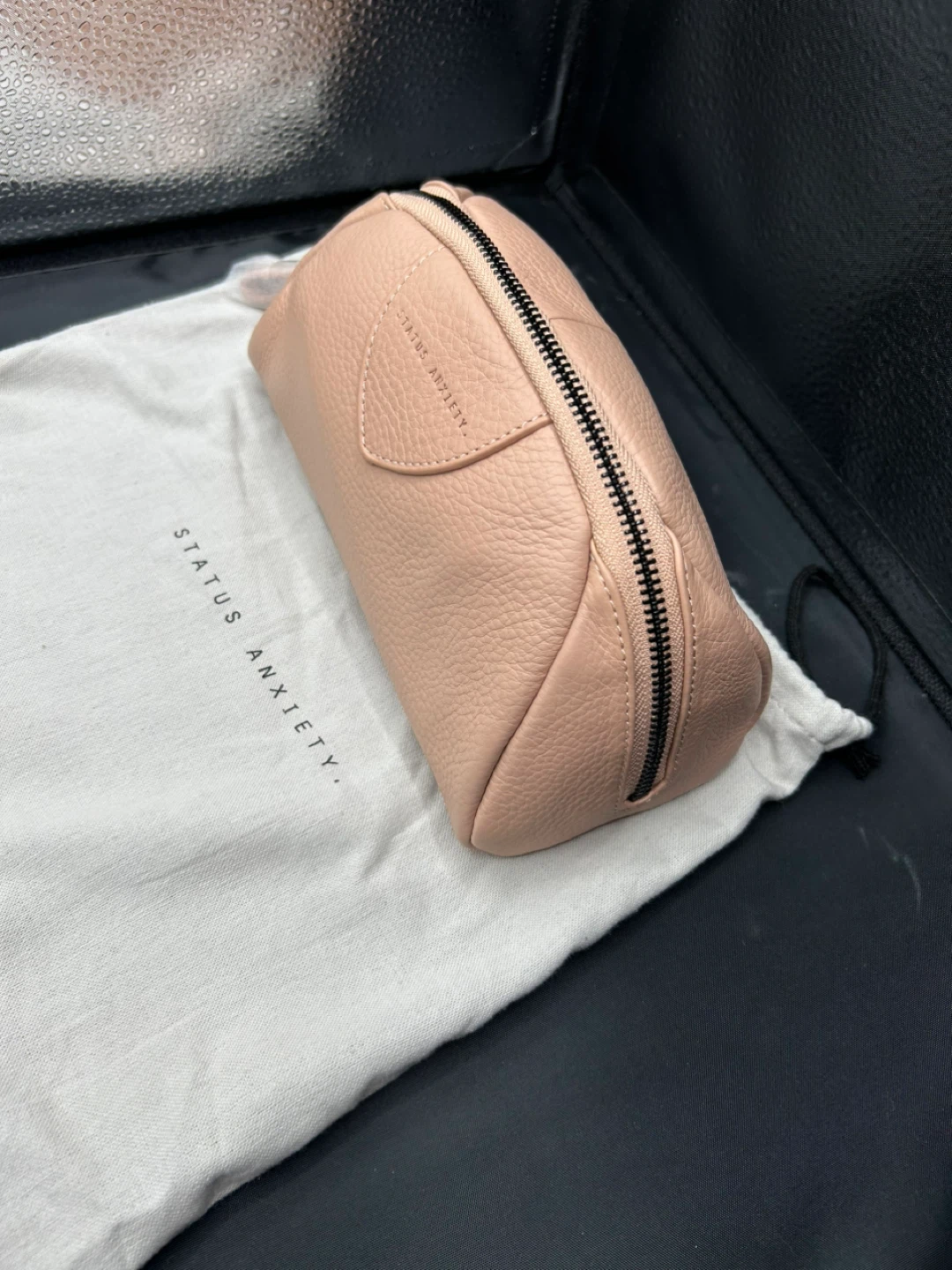 Status Anxiety Makeup Bag - Pale Rose - photo 2