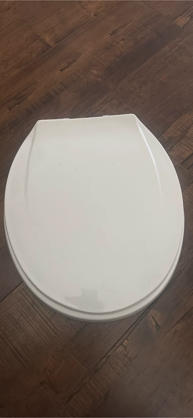 White Toilet Seat
