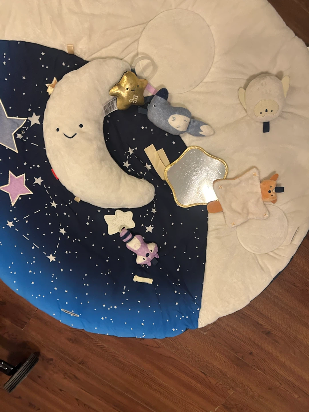 Skip Hop Celestial Dreams Activity Gym