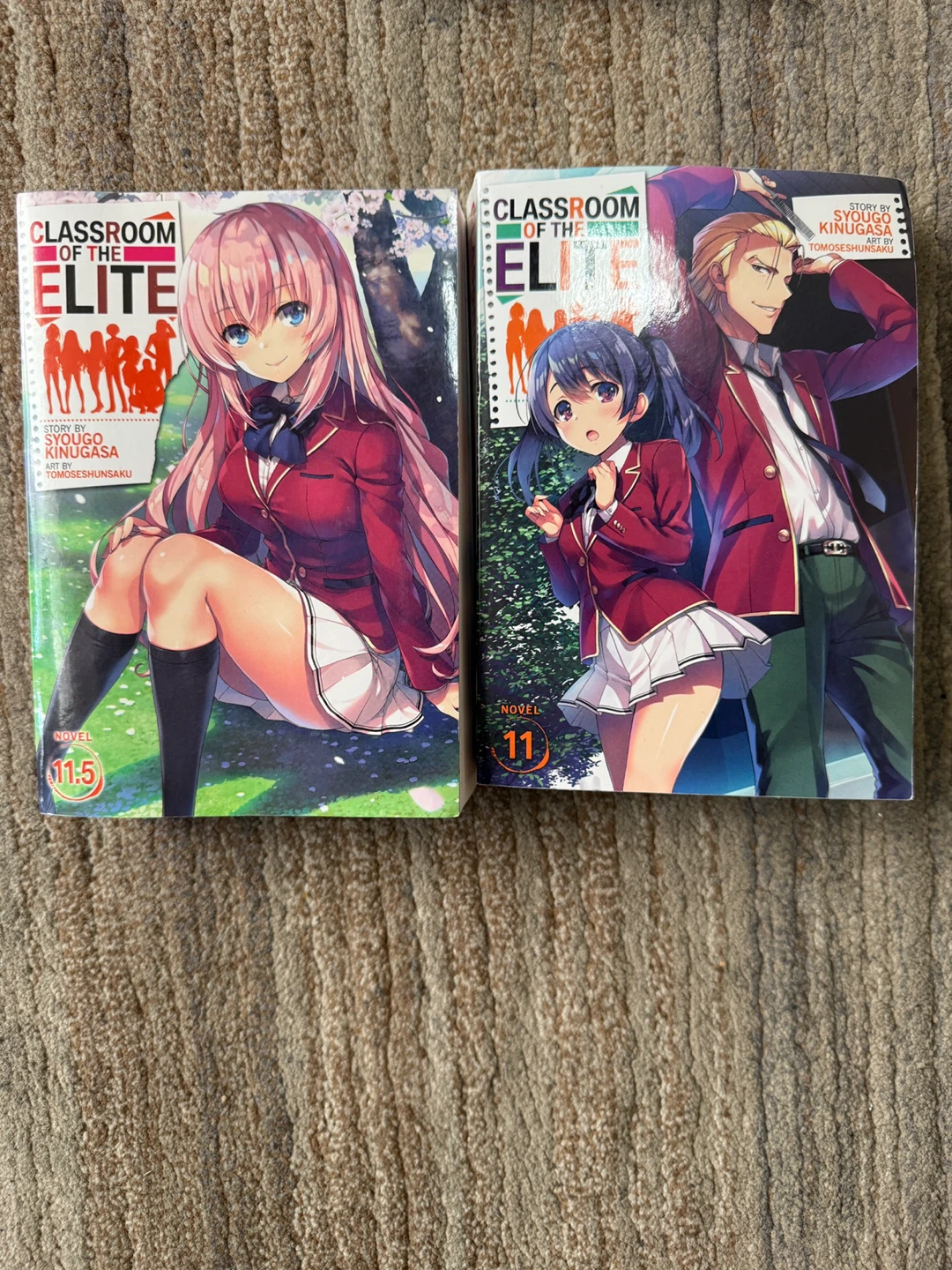 Classroom of the Elite Novels 11 & 11.5
