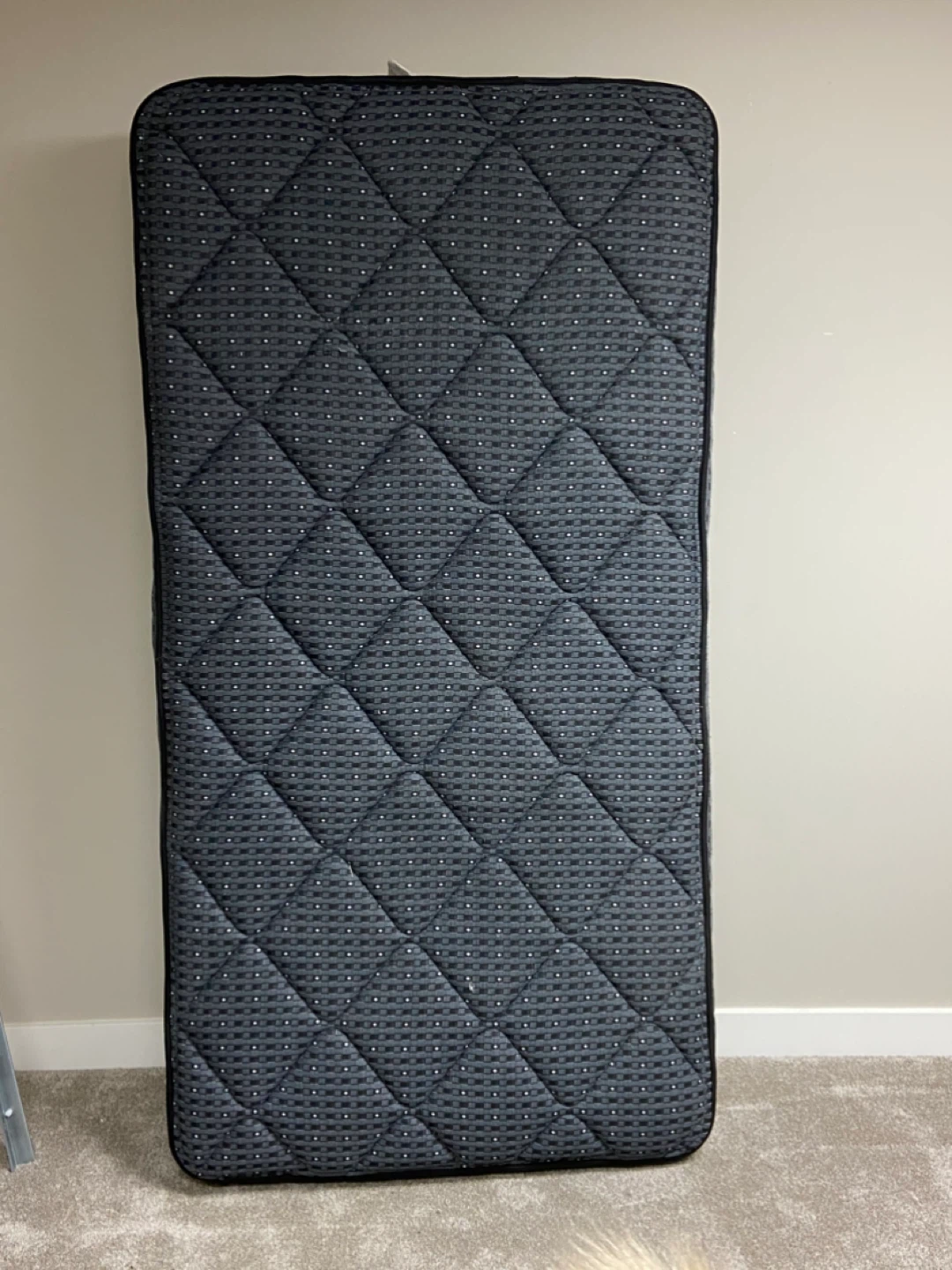 Twin Mattress