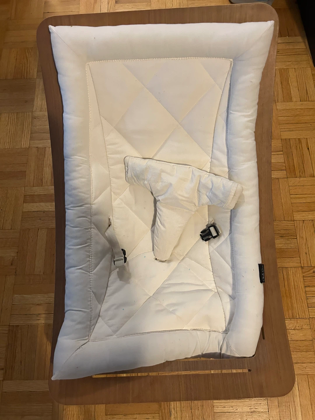 Nuna Leaf Baby Bouncer Seat