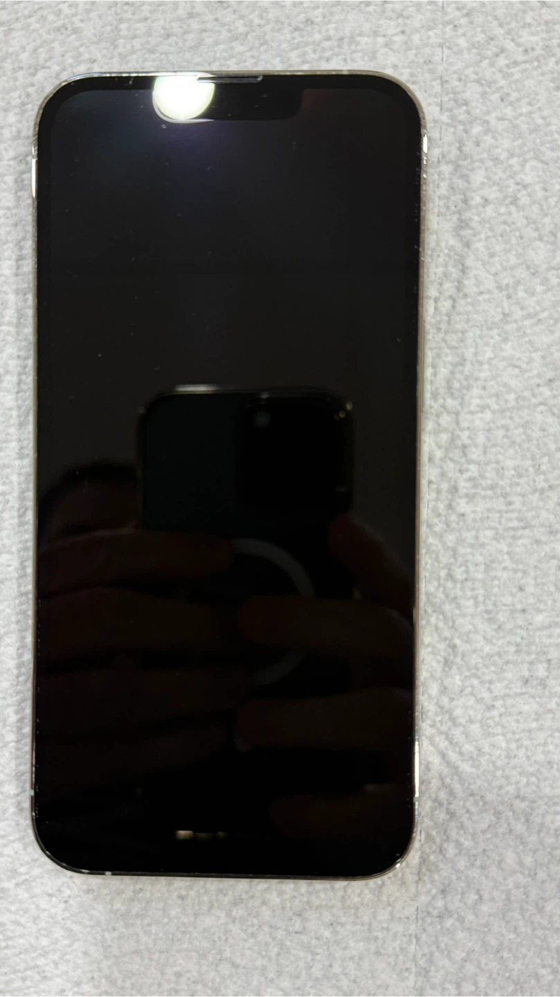 iPhone 13 Pro - photo 4