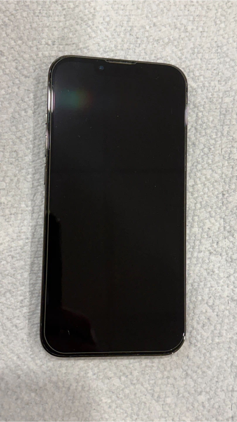 iPhone 13 Pro - photo 2