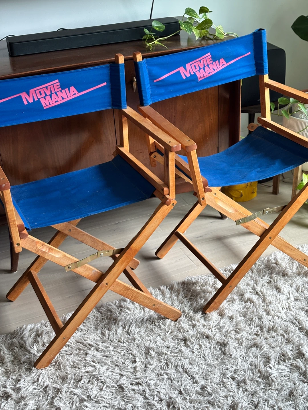 Movie Mania Director's Chair by Riverwood Furniture