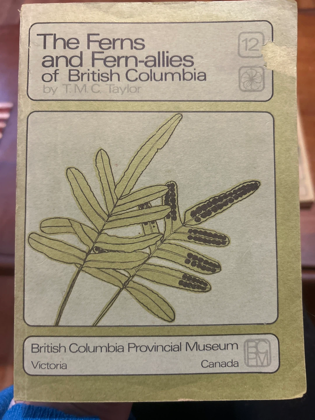 food plants + Ferns & fern-allies , by BC Prov. Museum - photo 3