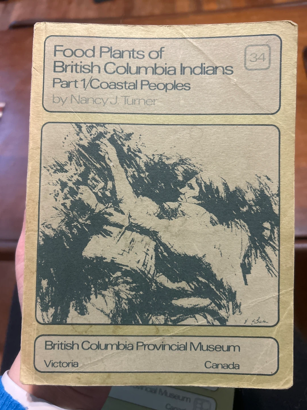 food plants + Ferns & fern-allies , by BC Prov. Museum - photo 2