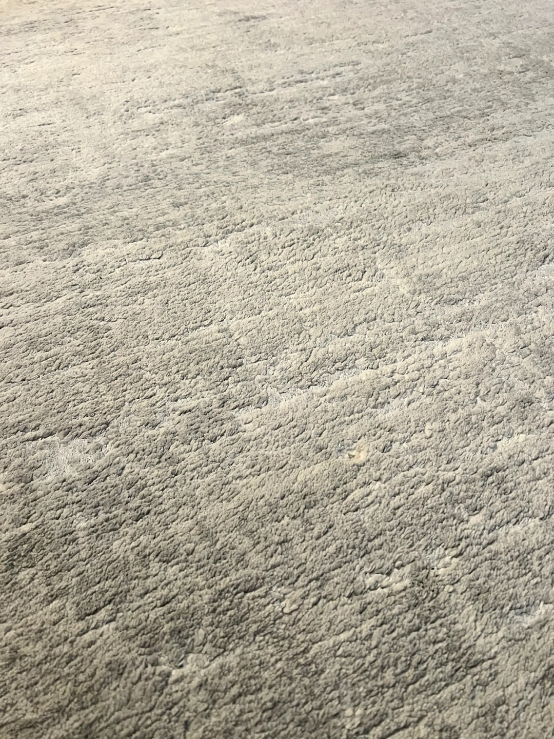 Light Grey Area Rug - photo 2