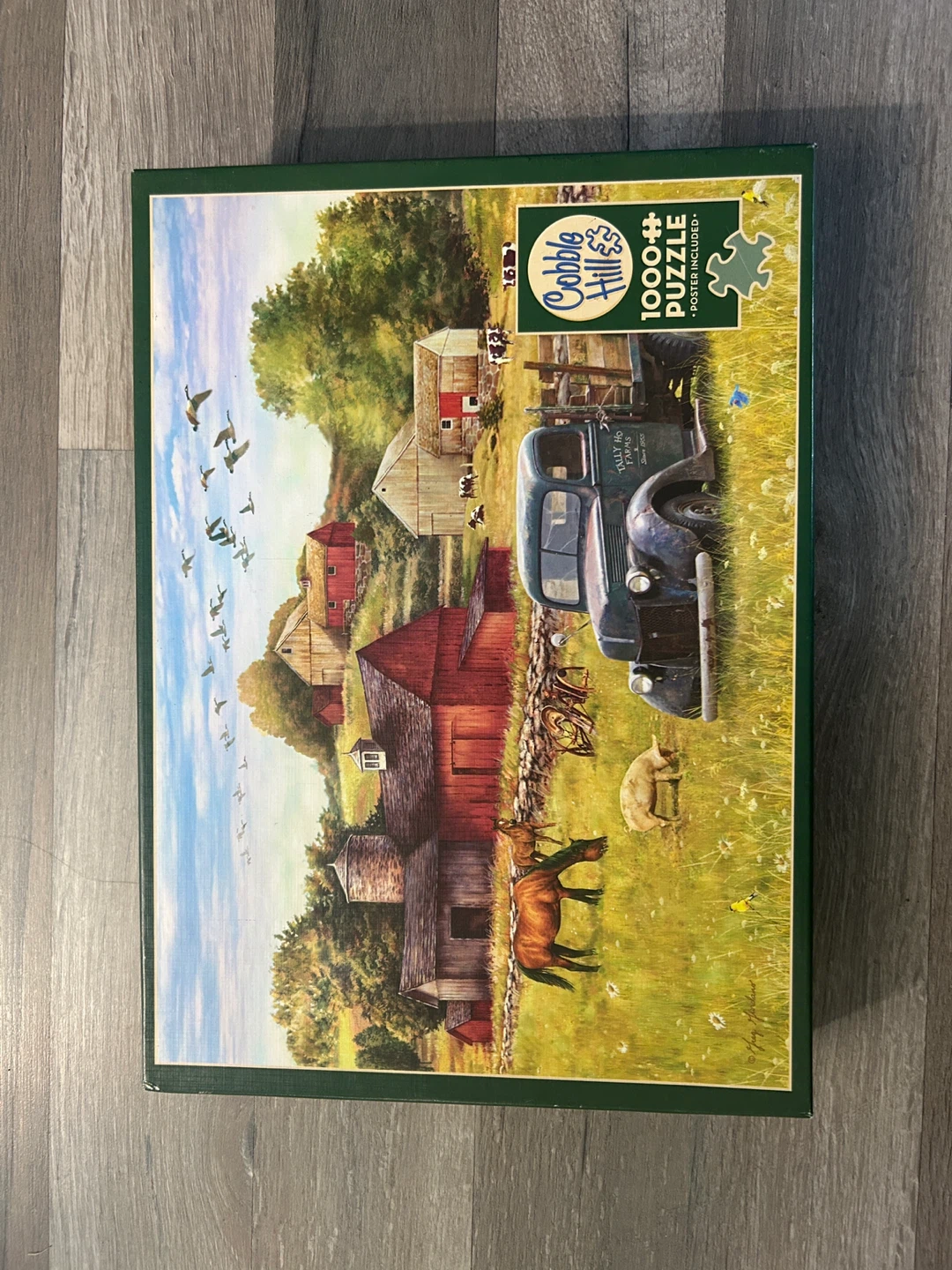 Cobble Hill 1000+ Piece Puzzle