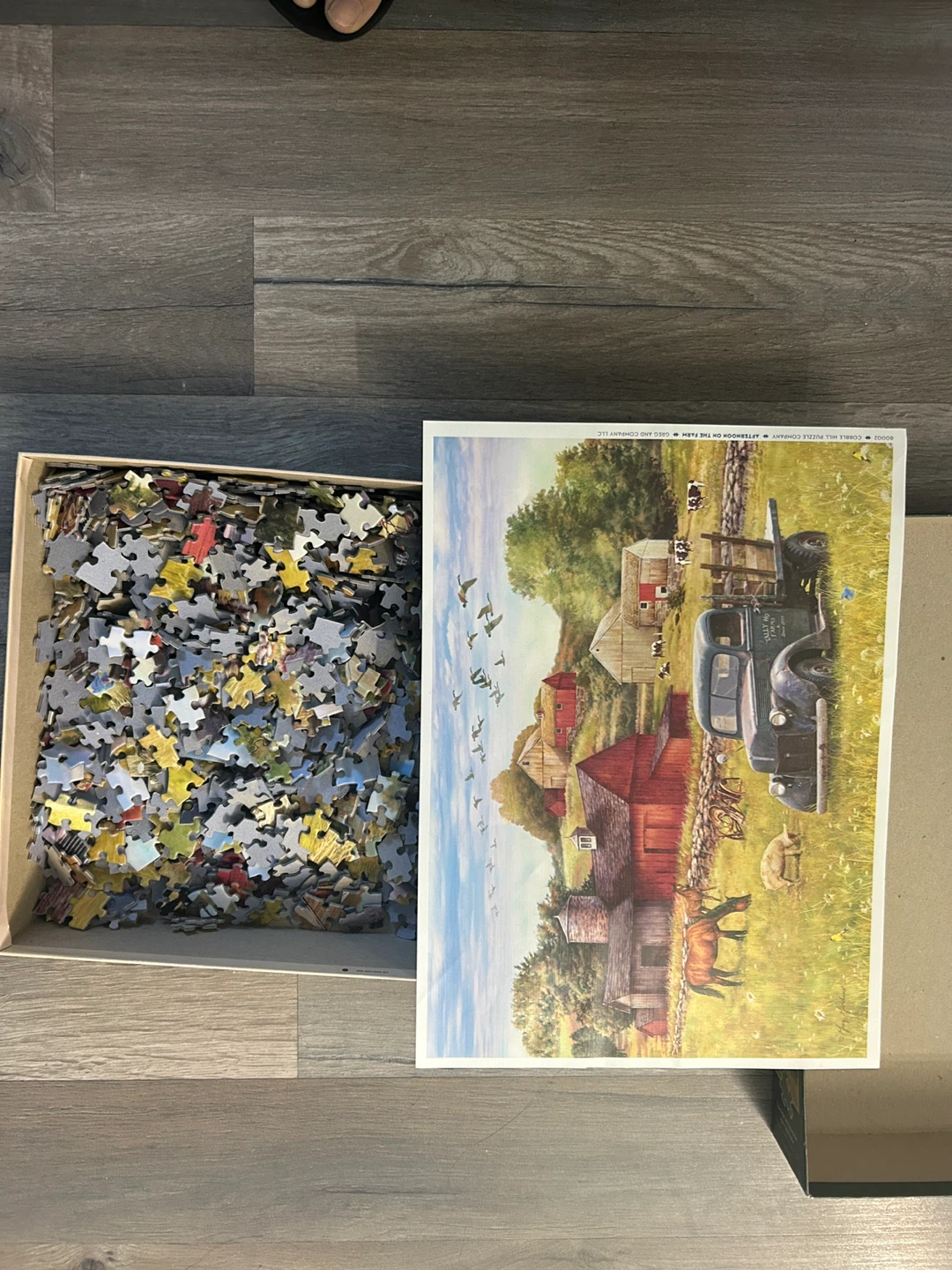 Cobble Hill 1000+ Piece Puzzle - photo 3