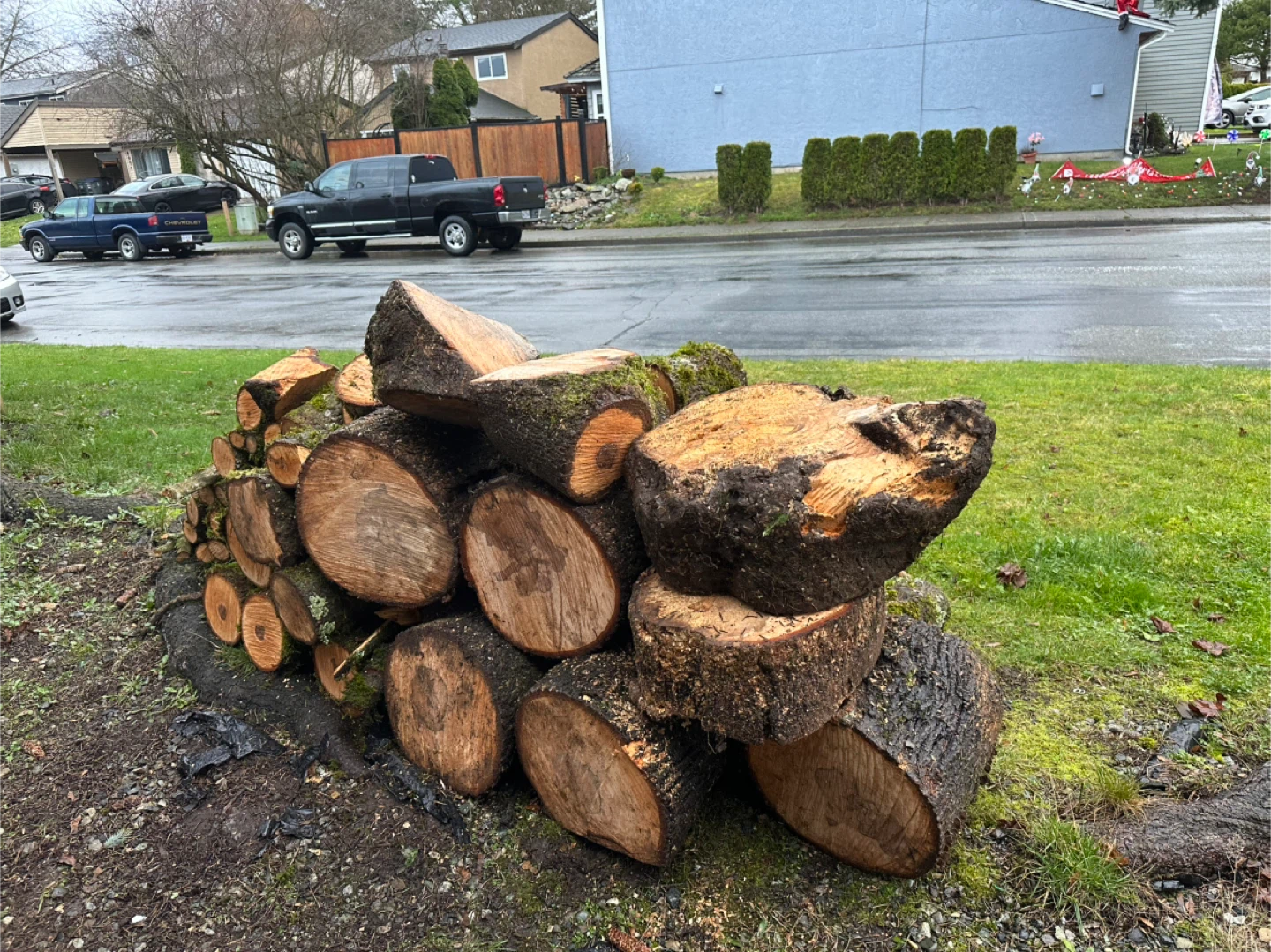 Free Firewood - photo 2
