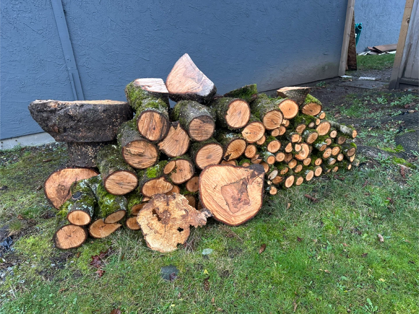 Free Firewood - photo 3