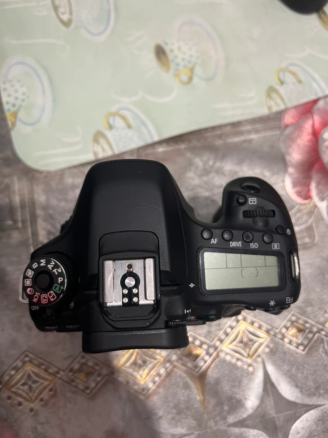 Canon EOS 80D Camera - photo 3