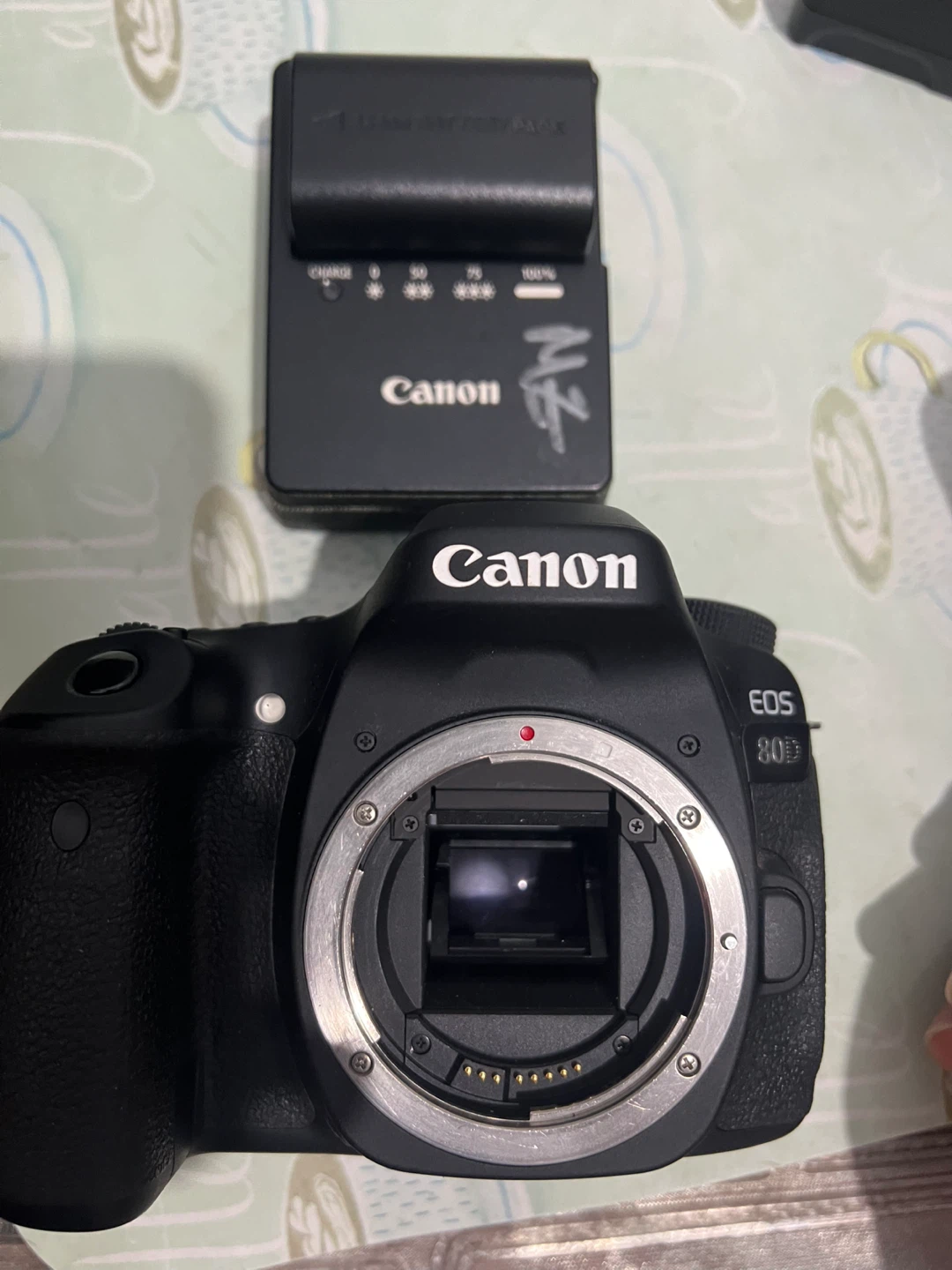 Canon EOS 80D Camera