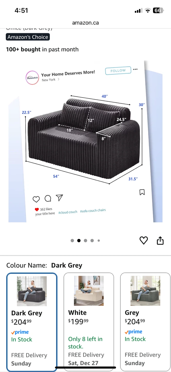 Hobestluk Couch Sofa 2-Seater Foam Sofa for adults and kids - photo 3