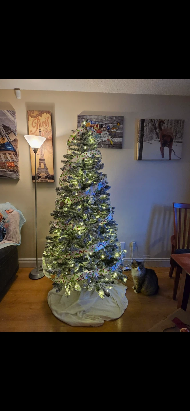 Holiday Time Pre-Lit Flocked Frisco Pine Tree - photo 2