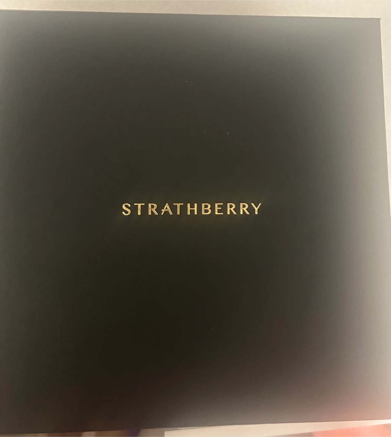 Vanilla mini tote -Strathberry - photo 5