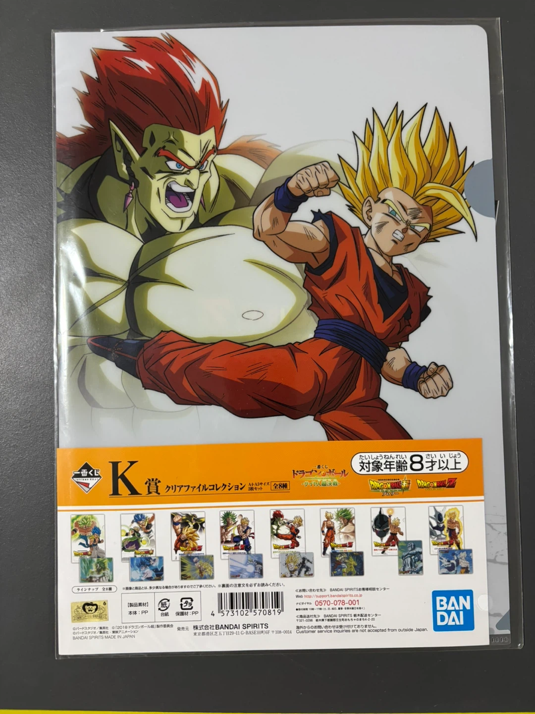 Dragon Ball Clear File Collection A4·A5 Size 2-Piece Set
