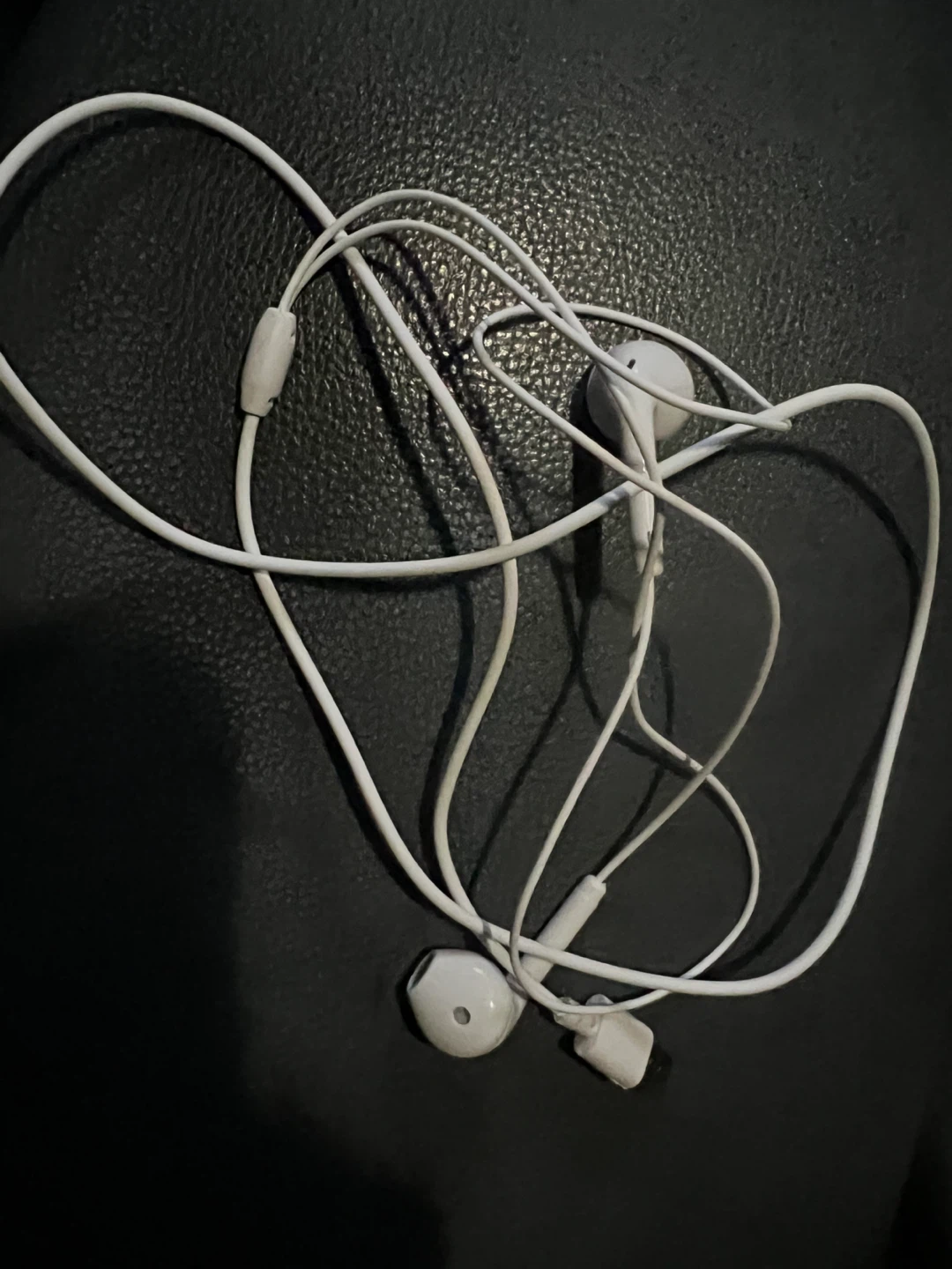 Apple Power Adapter, Cable & Earphones - photo 5