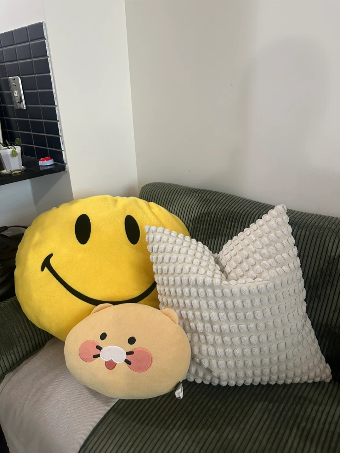 Assorted Throw Pillows