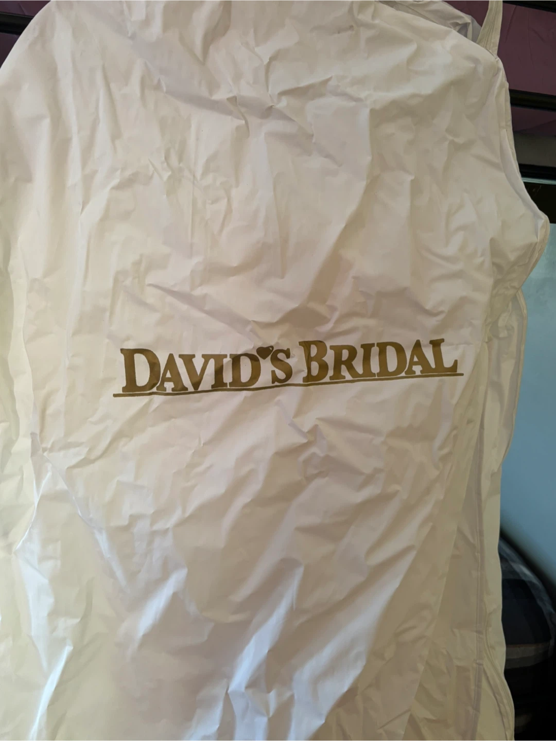 David's Bridal Wedding Dress