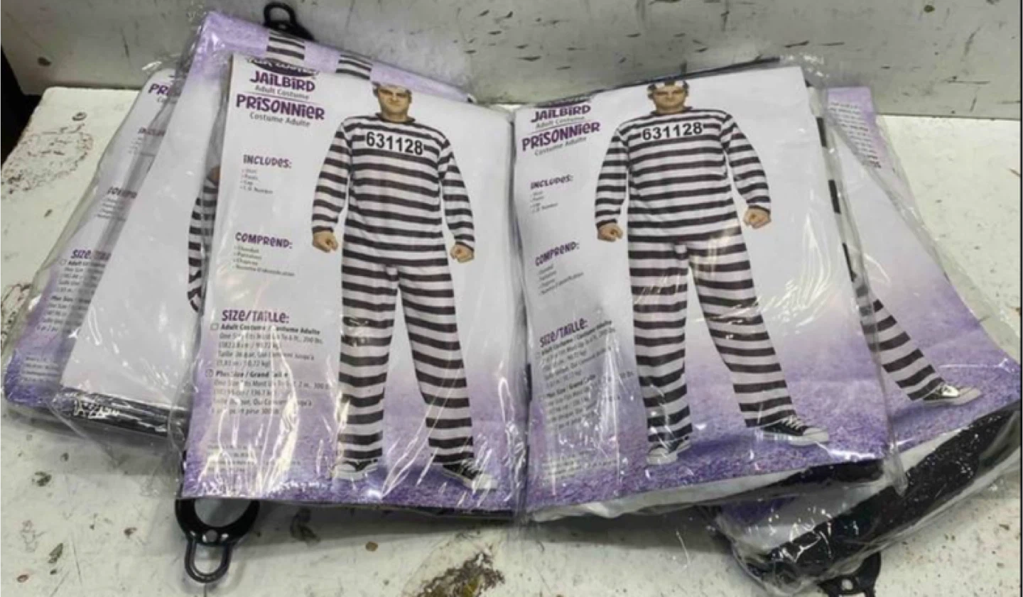 Fun World Jailbird Costume - Adult, One Size - photo 2