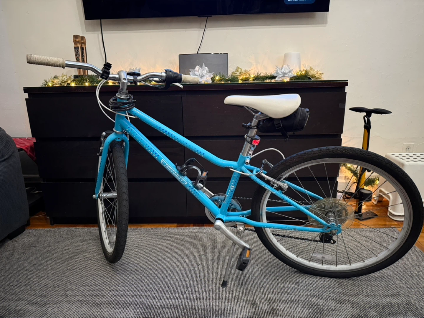Guardian Kids Bike - Blue