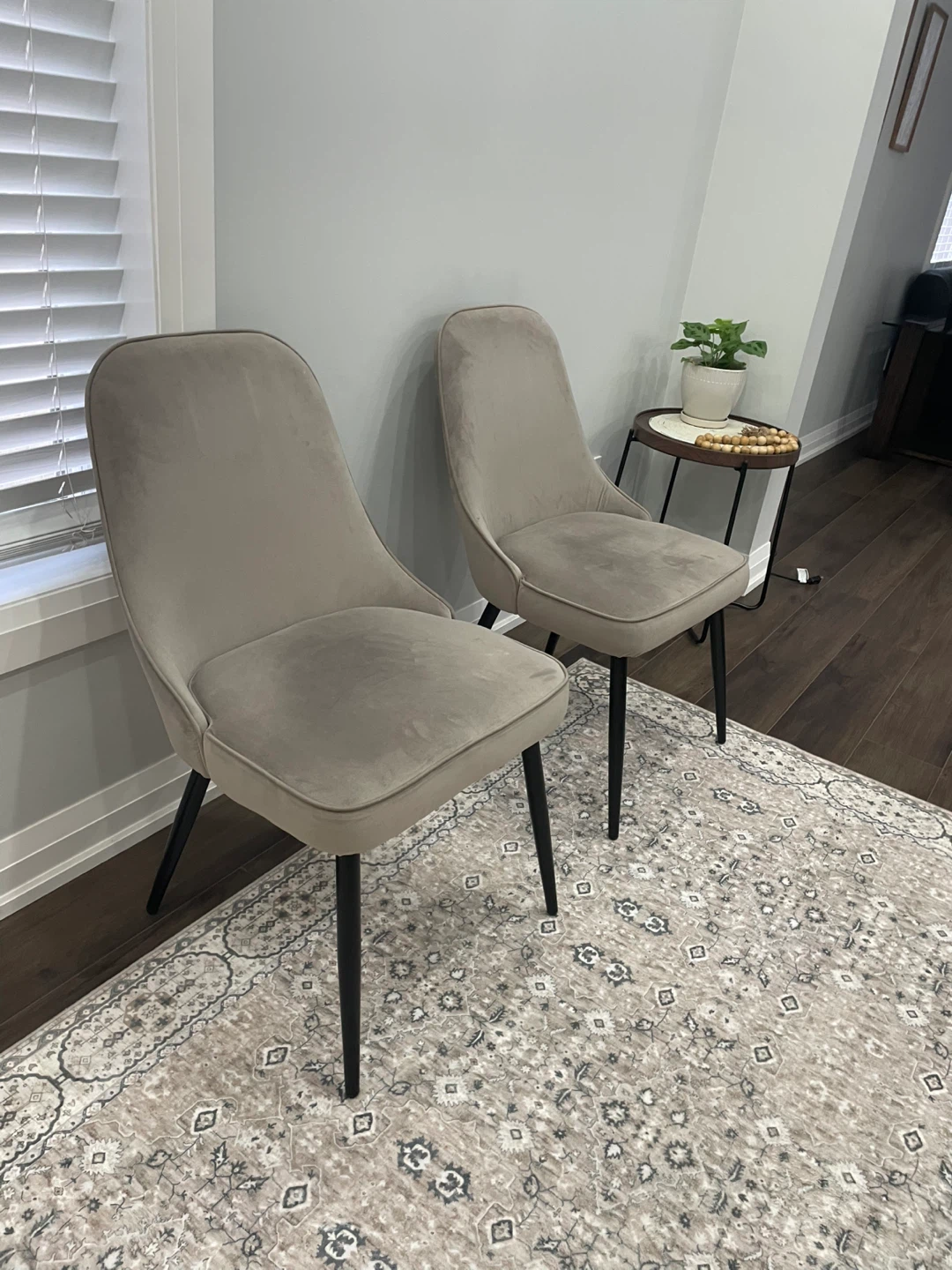 Set of 2 Beige Velvet Dining Chairs