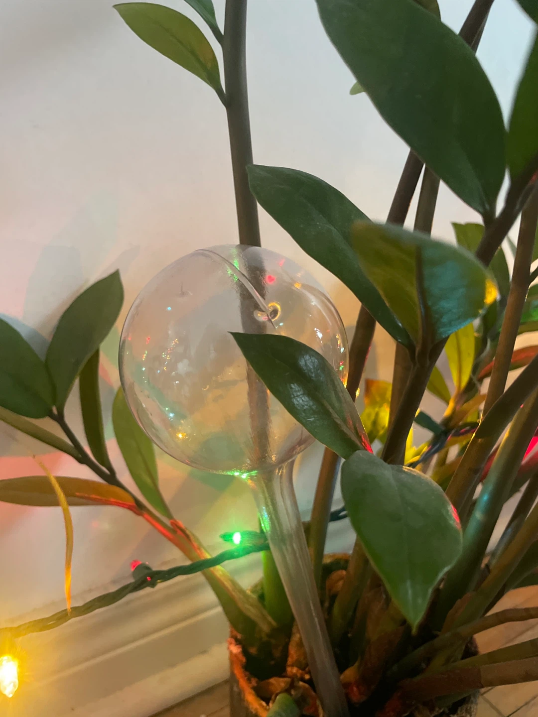 2 Plant Watering Globes/Plastic Bulbs - photo 2