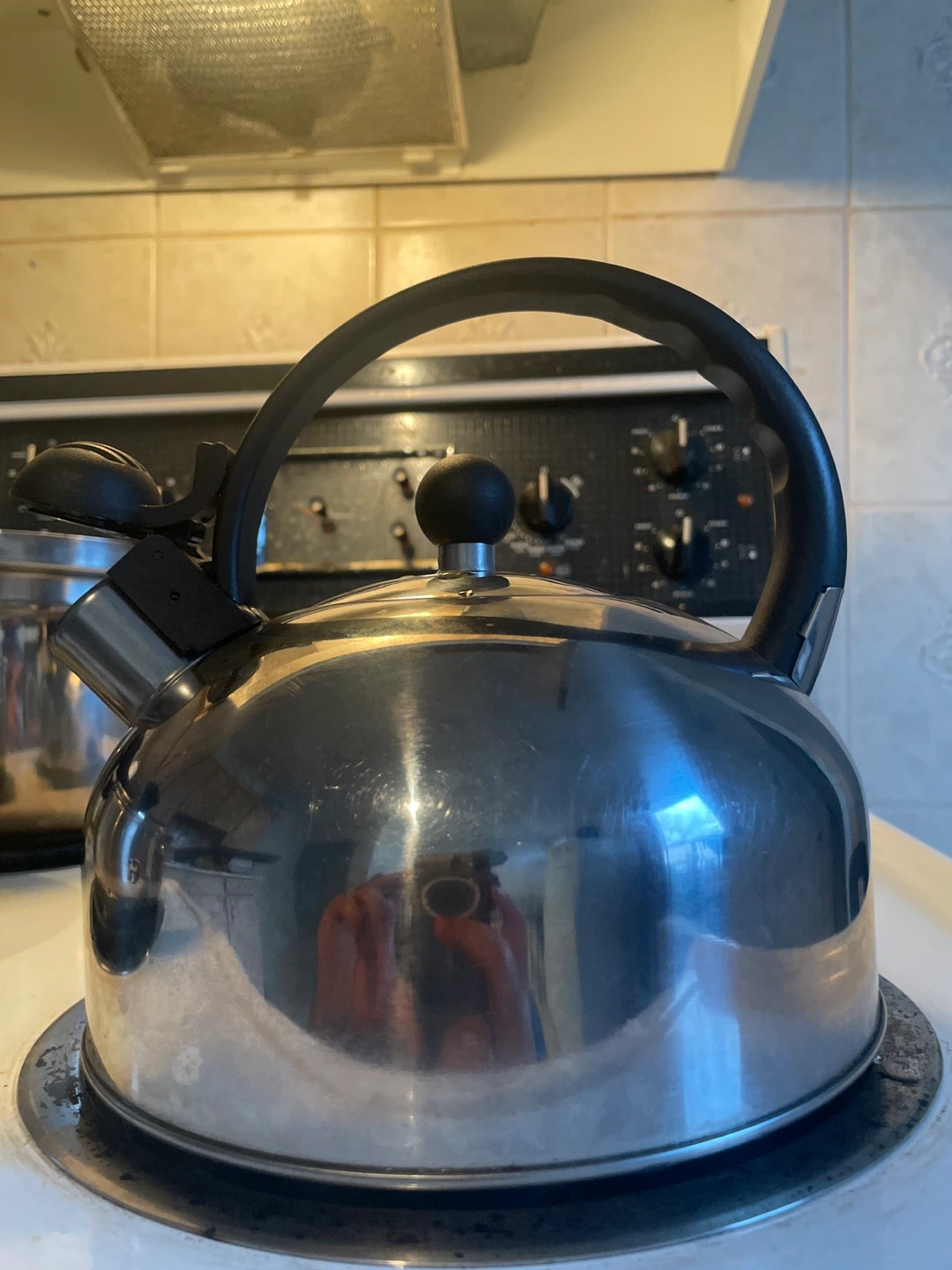 Stainless Steel Kettle