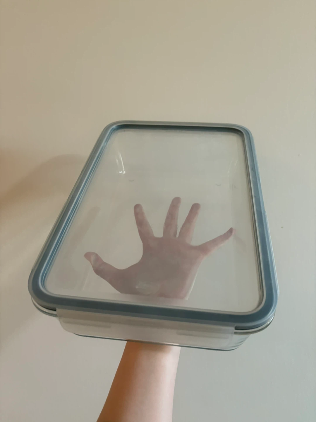 LocknLock Food Storage Containers - 6 - photo 4