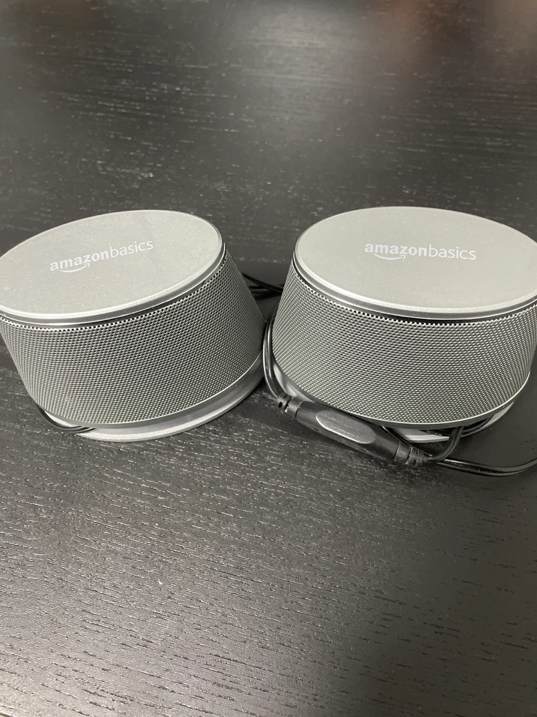 AmazonBasics Speakers