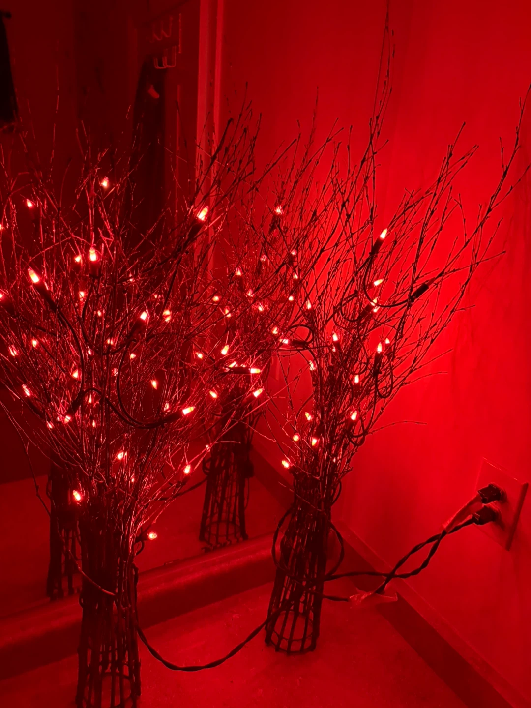 Decorative Lighted Twig Branches