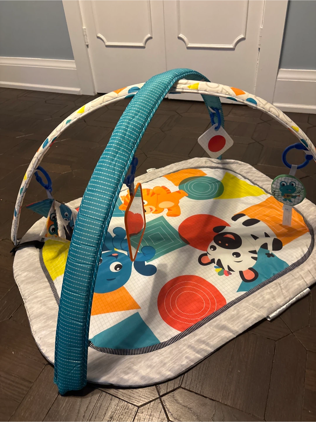Activity Gym & Play Mat