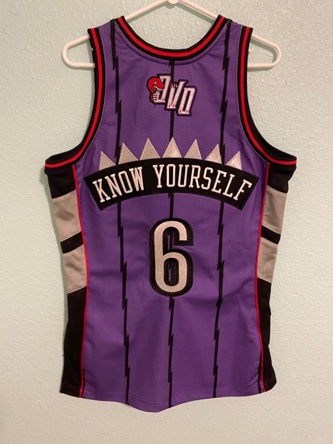 Mitchell & Ness Toronto Raptors OVO Jersey