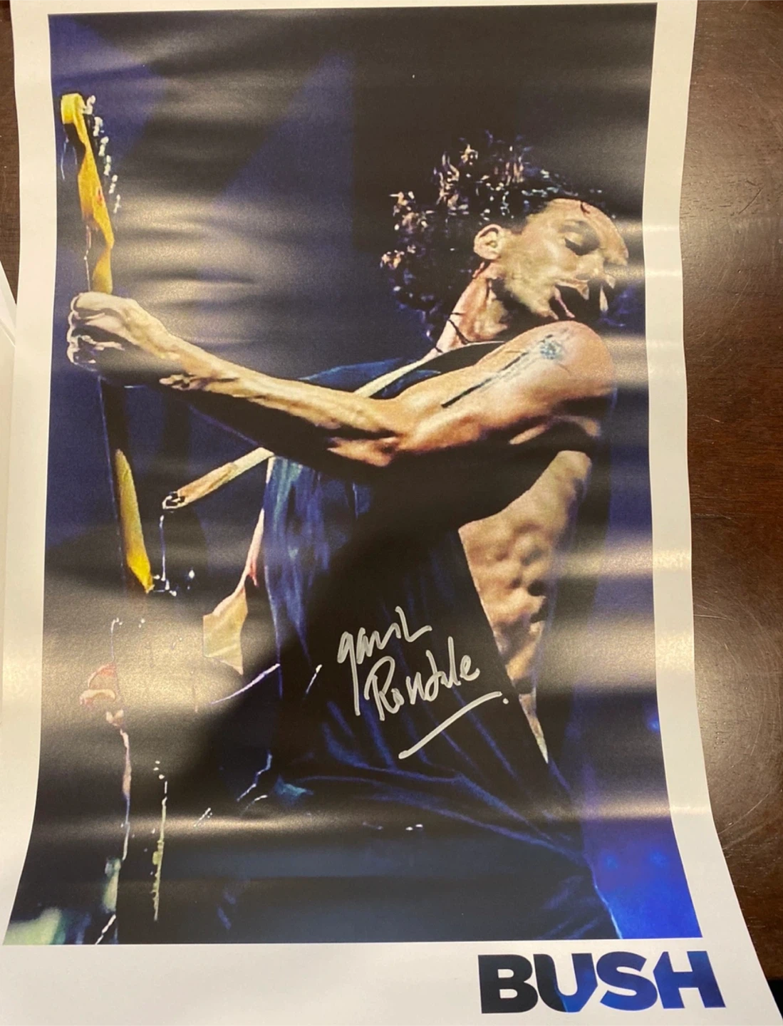 BUSH - Autographed Vinyls, Poster & More - photo 5