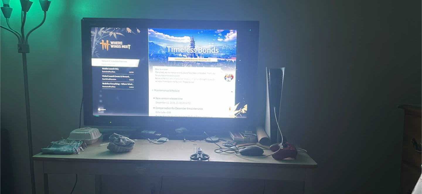 Sony Bravia TV