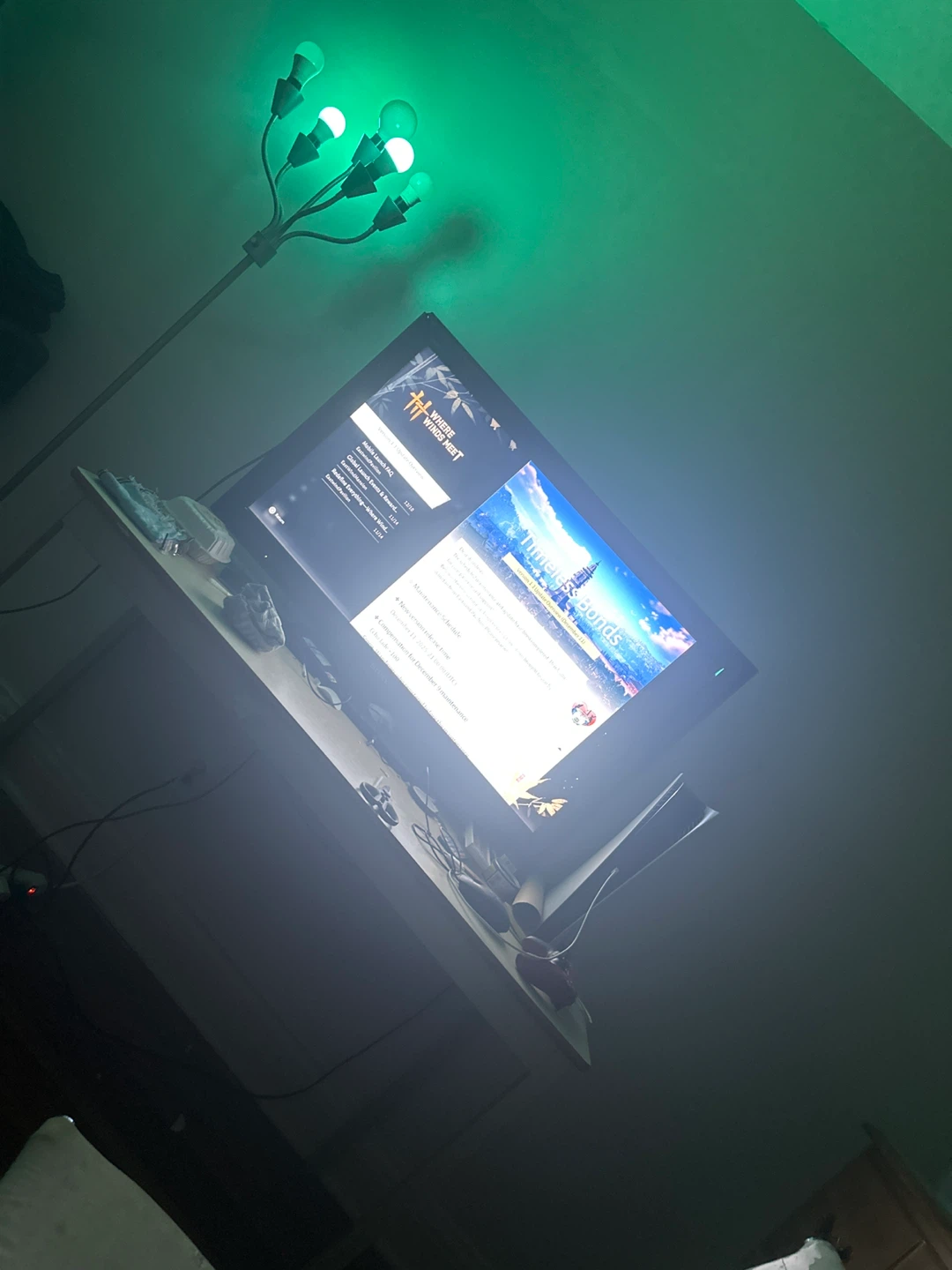 Sony Bravia TV - photo 3