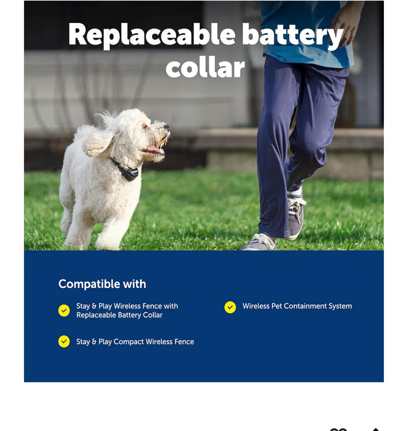 PetSafe Waterproof Adjustable Dog Collar - photo 3