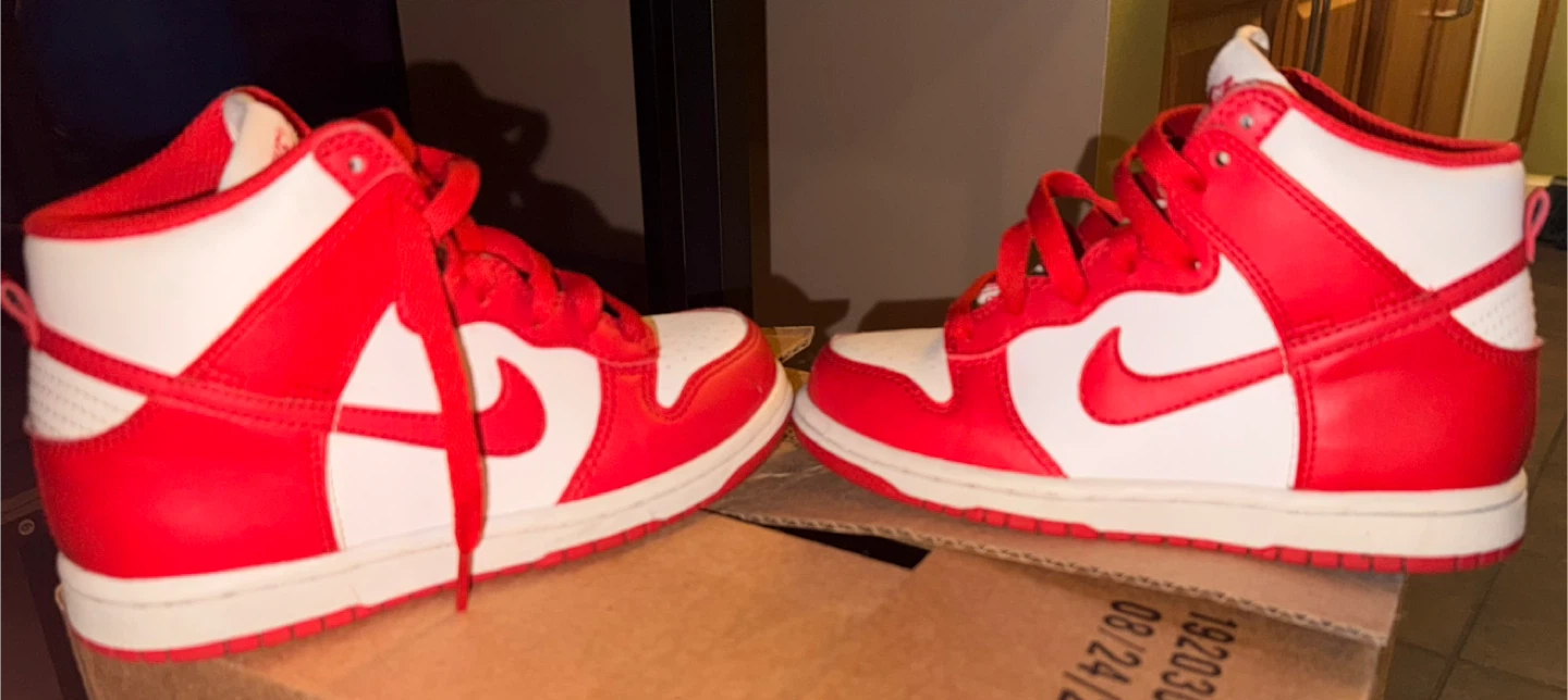 Nike Dunk High Red/White 13C