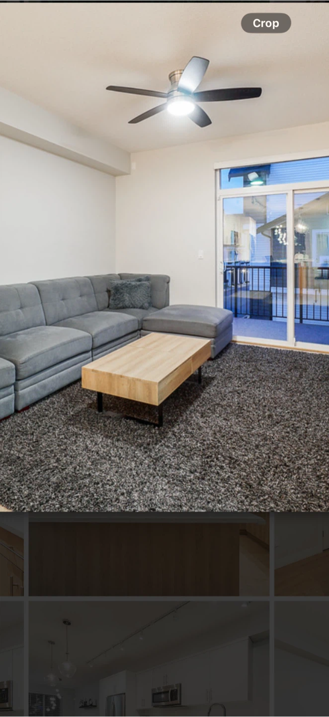 Area rug