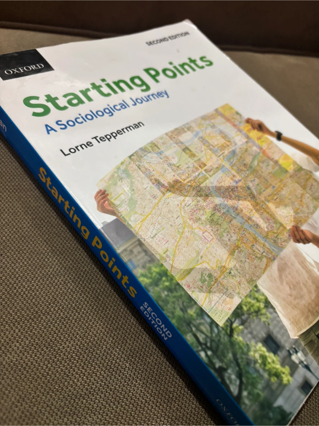 Starting Points: A Sociological Journey by Lorne Tepperman - photo 2