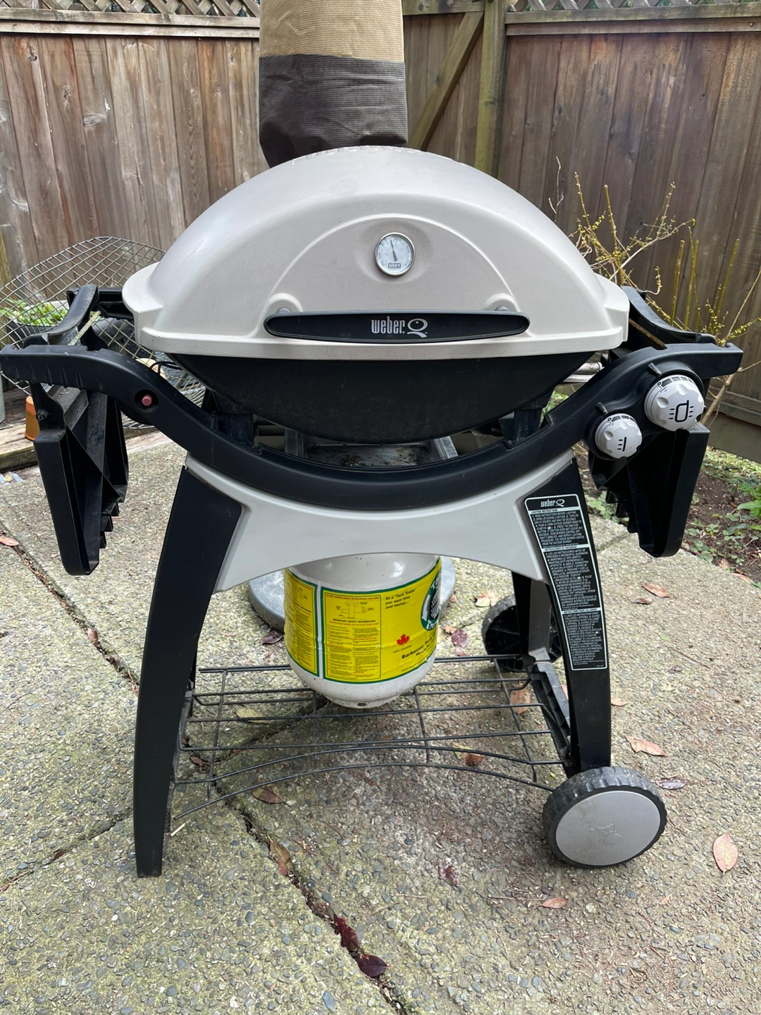 Weber Q 3200 Series Portable Gas Grill