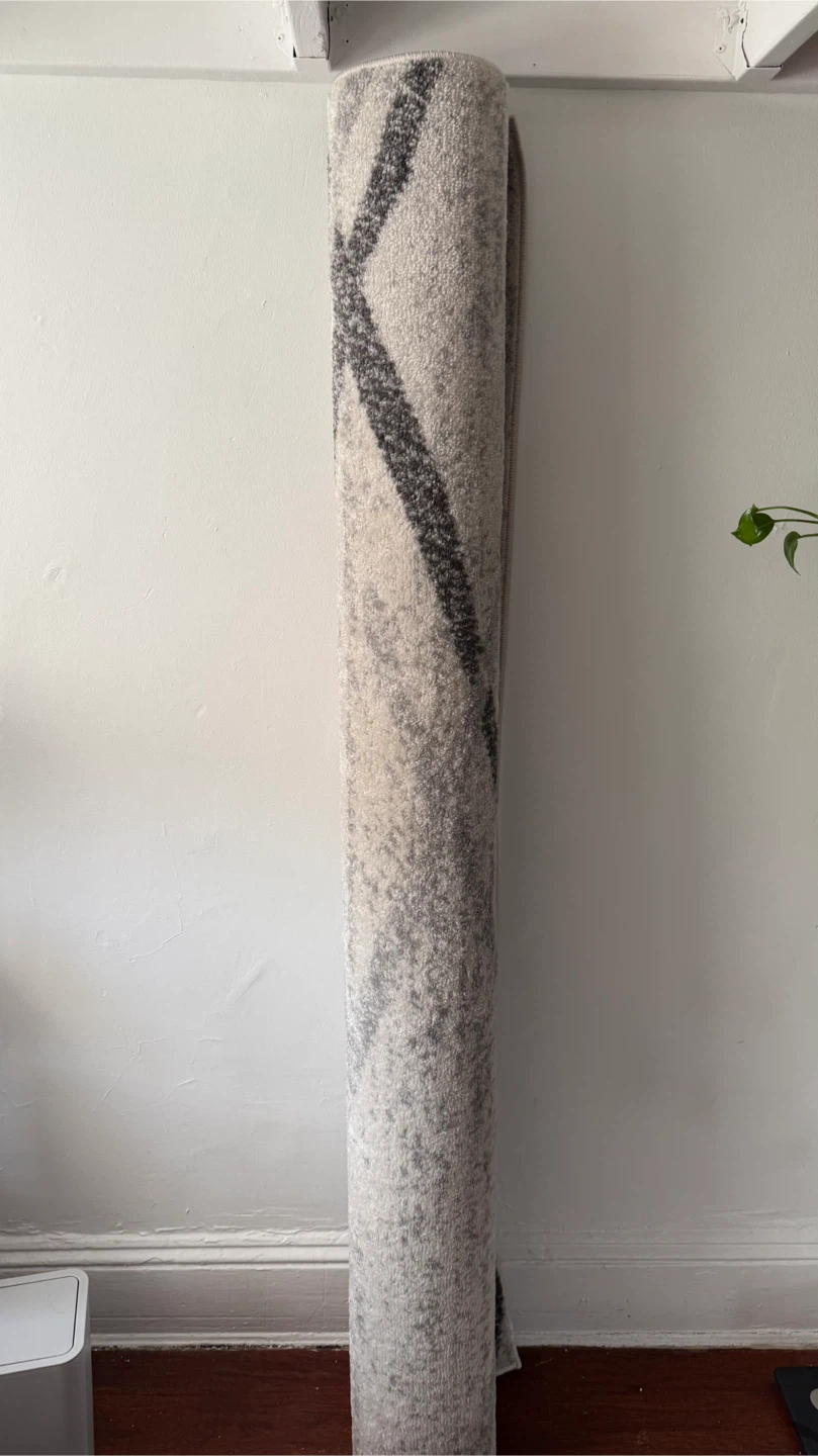 Area Rug - Gray & White