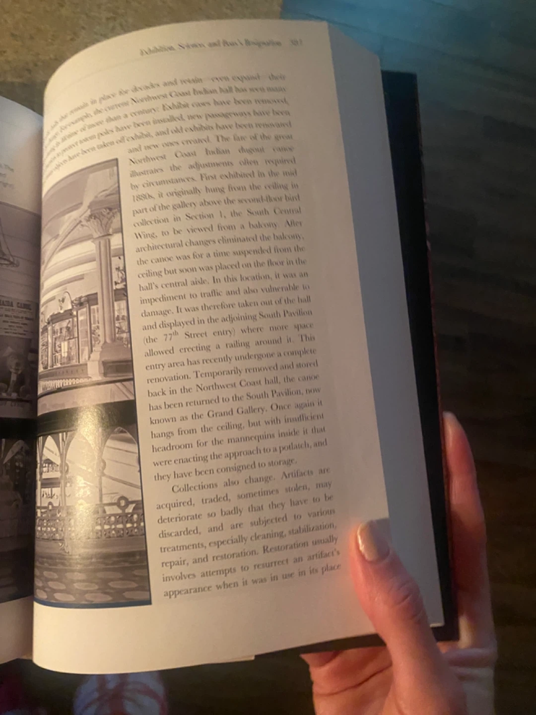 Anthropology textbook - photo 5