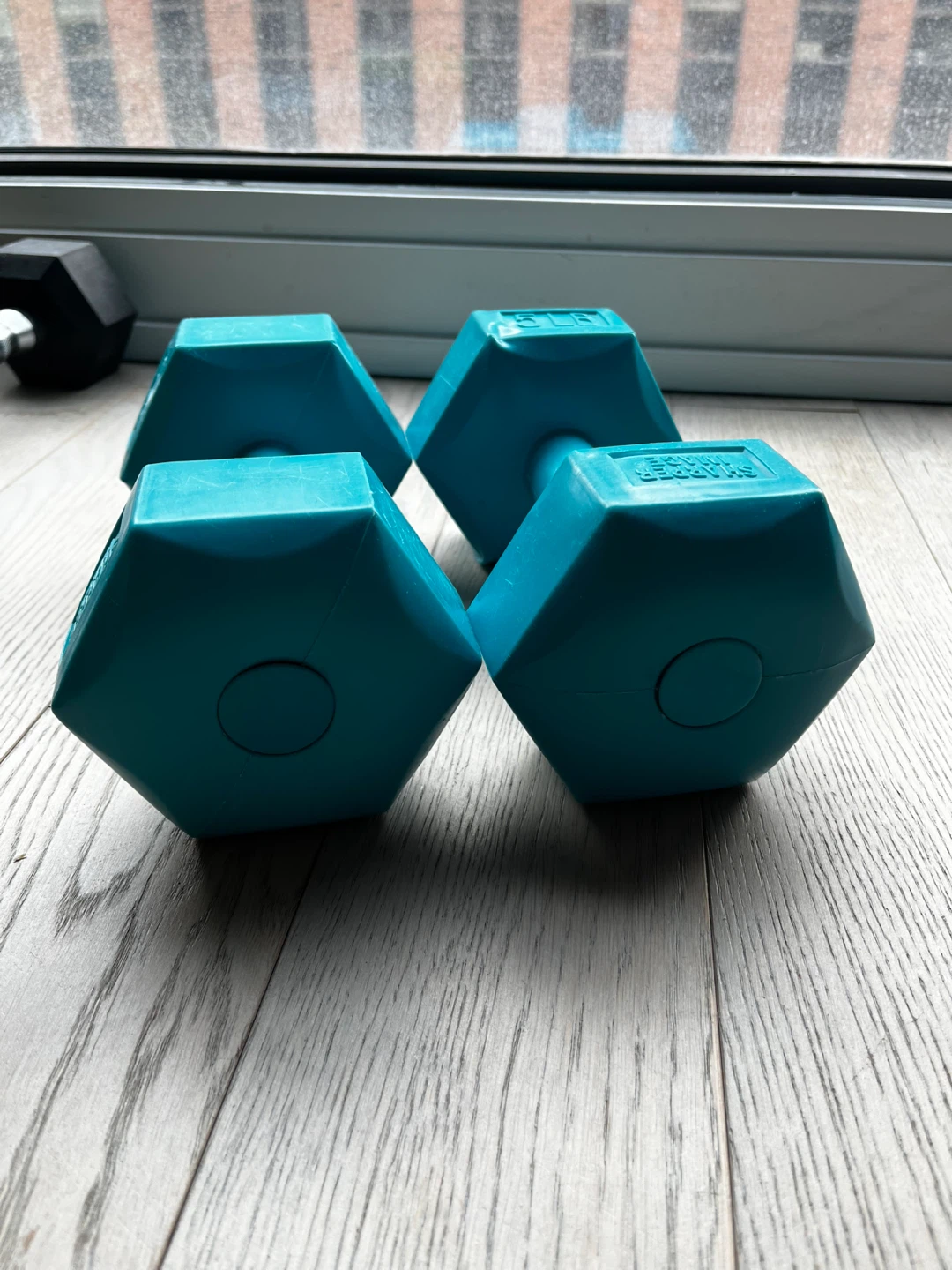 Sharper Image 5LB Dumbbell Set - Turquoise - photo 2