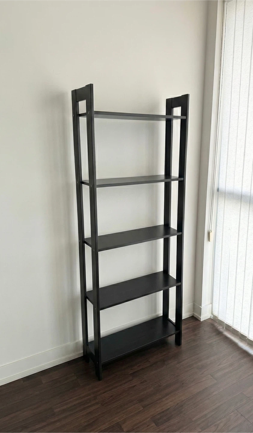 Black Ladder Bookshelf