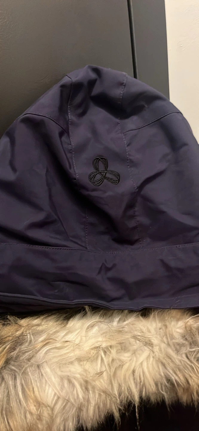 Golden by Tna Bancroft Parka -Aritzia, Small - photo 4