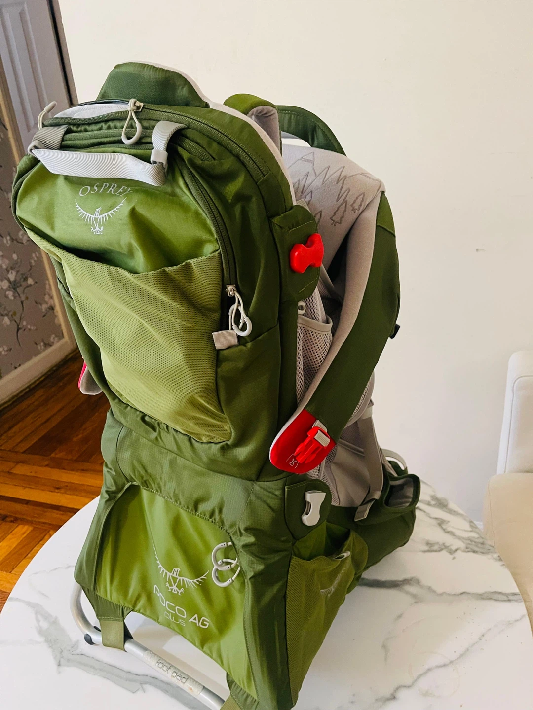 Osprey Poco AG Plus Child Carrier Backpack - Green(Moving Out) - photo 3